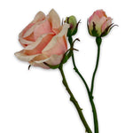 Rose Spray Peach