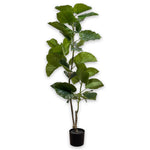 Ficus I/Pot Green 150 Cm