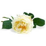 Rose Stem Cream