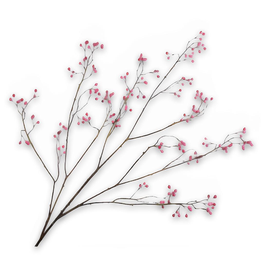 Berry Spray Pink