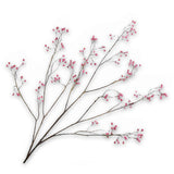Berry Spray Pink