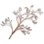 Berry Spray Acryl Lavend
