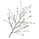Pimpernel Spray Burgund