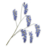 Wisteria Spray Blue