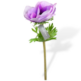 Anemone Stem Lavend Rt
