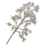 Gypsophila Spray Pink 90 Cm