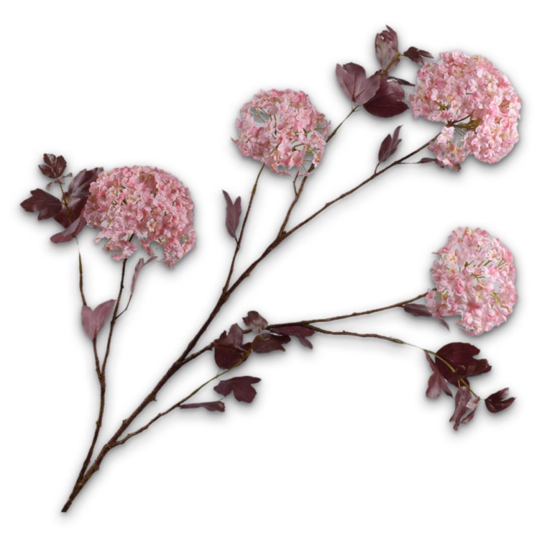 Snowball Spray Mauve