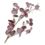 Eucalyptus Spray Bur/Grn