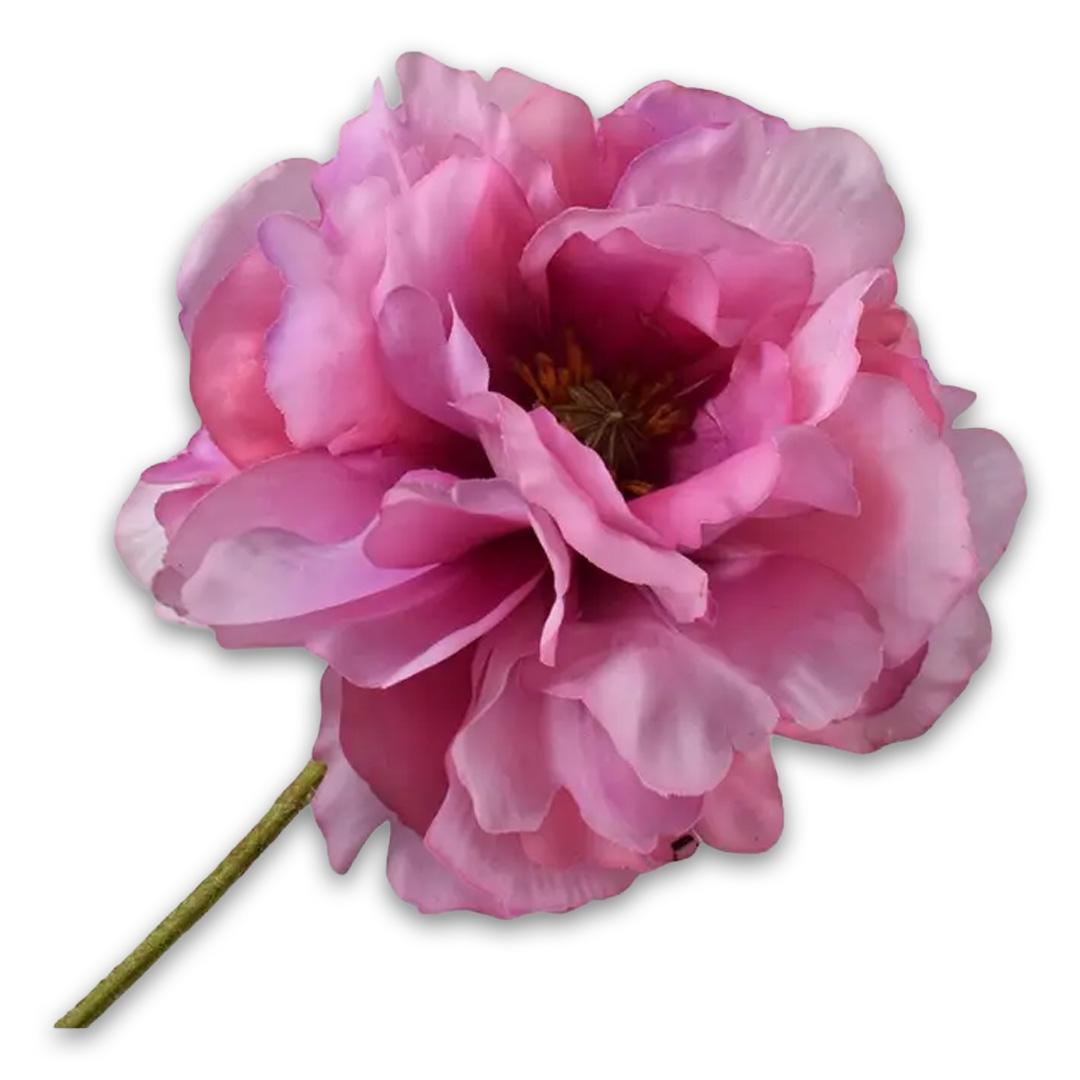 Poppy Stem