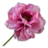 Poppy Stem