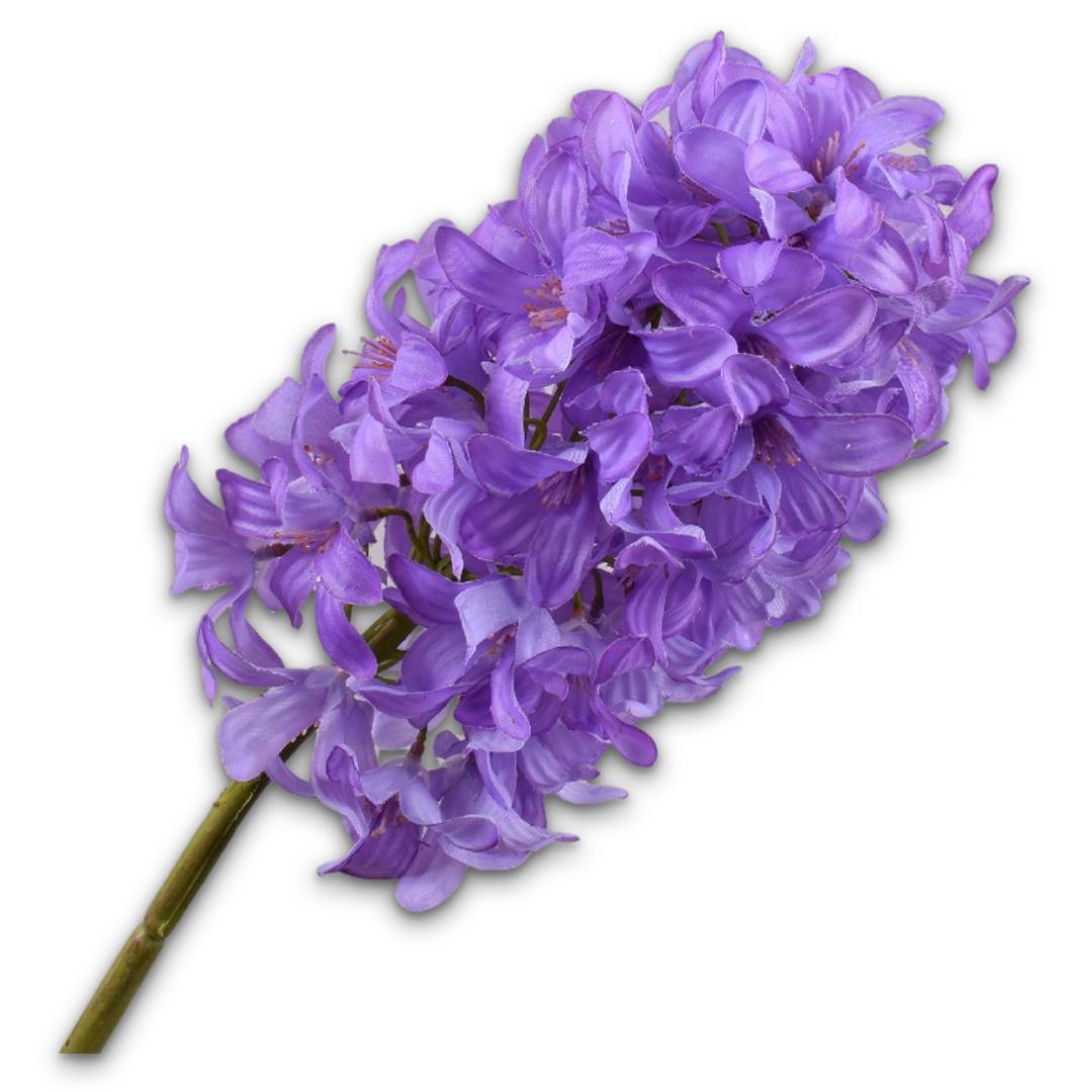 Hyacinth Pedoncle Lavender