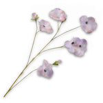 Pansy Spray Lilac Rt