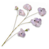 Pansy Spray Lilac Rt