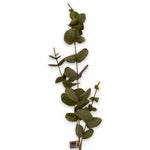 Eucalyptus Spray Green-86Cm