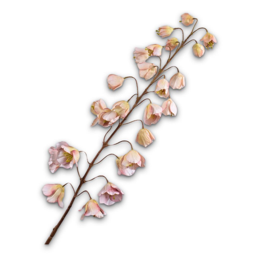 Fritillaria Stem Cr/Pnk