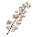 Fritillaria Stem Cr/Pnk