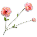 Pansy Spray Salmon Rt