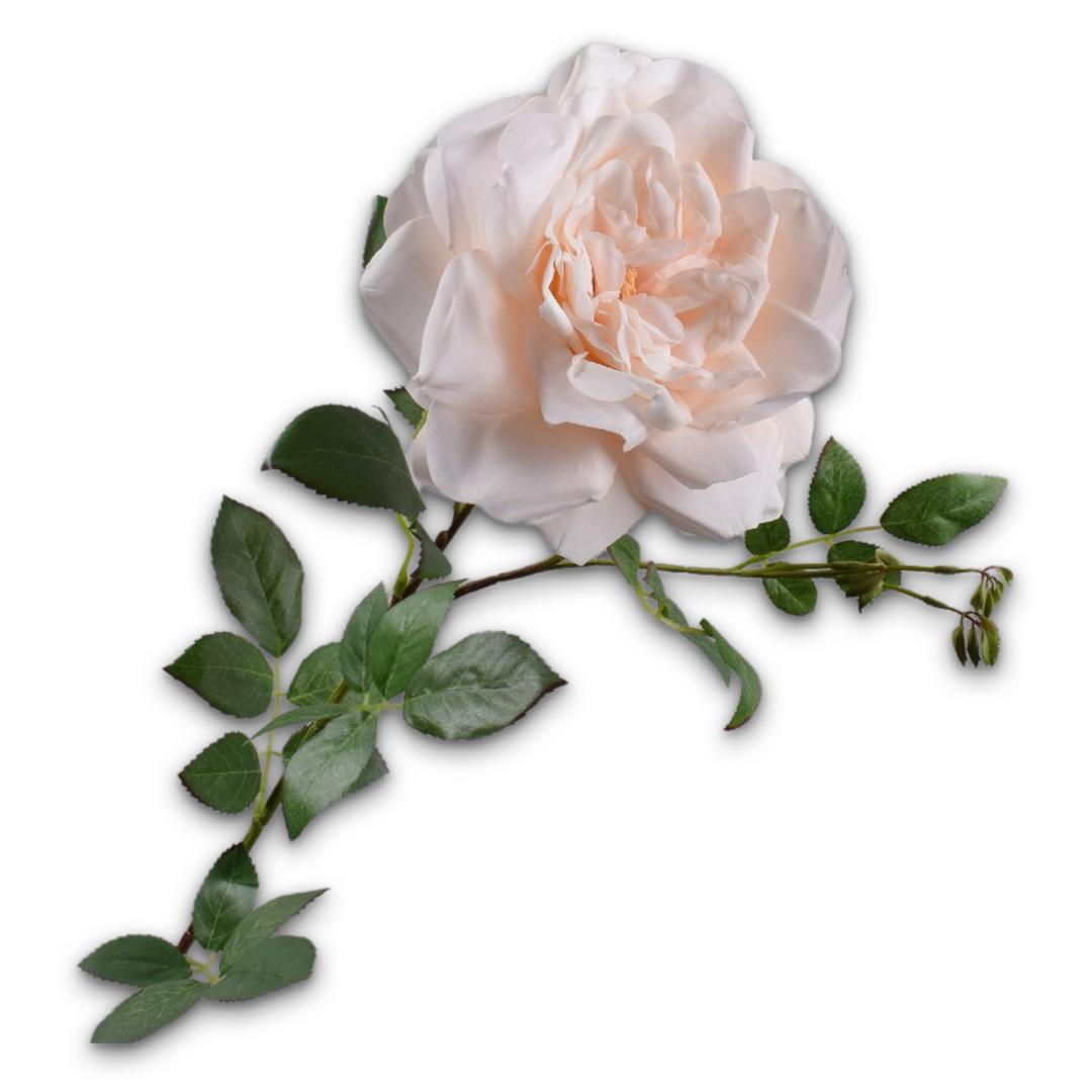 Rose Stem Peach Lt Rt