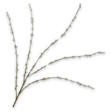 Spiraea Spray Cream
