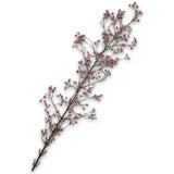 Berry Spray Lavend - 152458