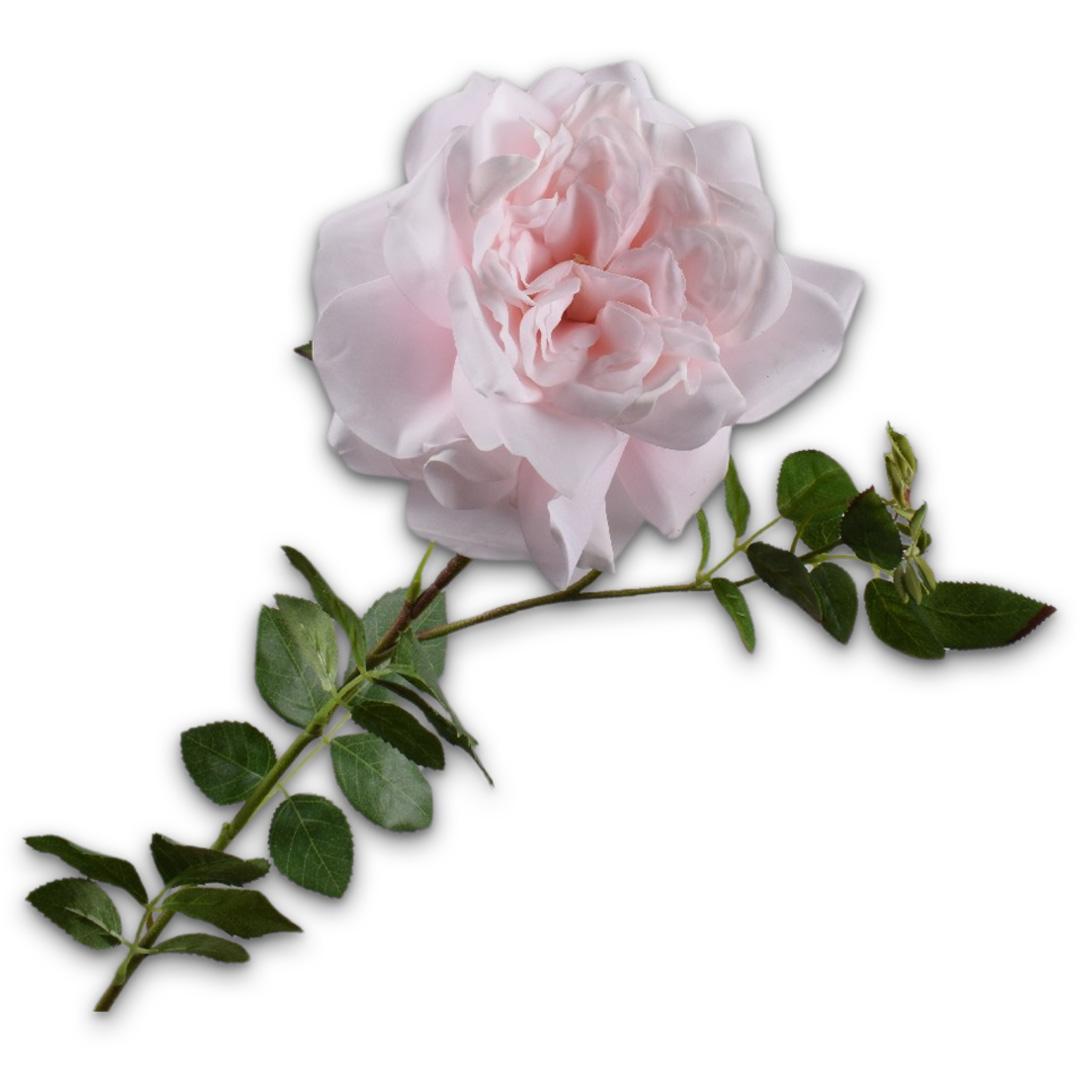 Rose Stem Pink Lt Rt