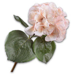 Hydrangea Stem Cr/Pnk