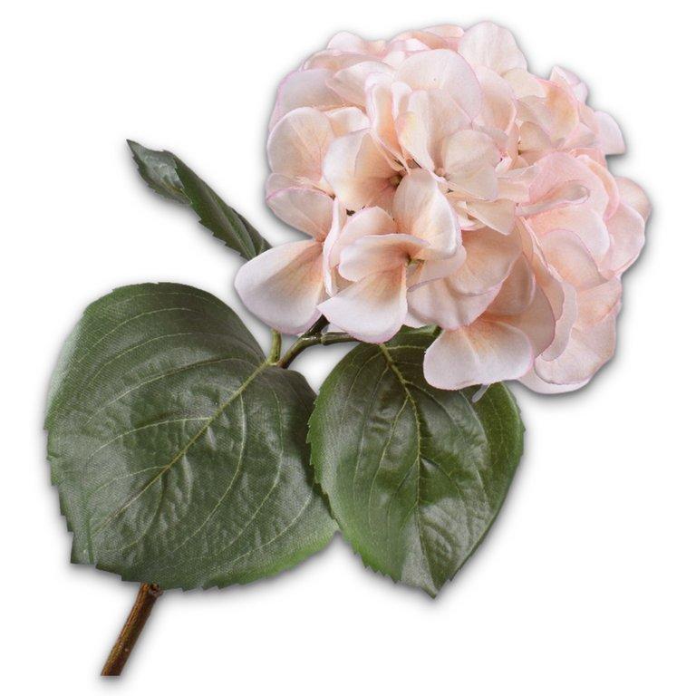 Hydrangea Stem Cr/Pnk