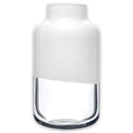 Magnolia Vase Medium - Clear