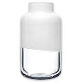 Magnolia Vase Medium - Clear