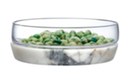 Desert Plants Champagne Bowl Cactus Petri Glass Bowl 70139900