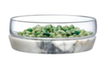 Desert Plants Champagne Bowl Cactus Petri Glass Bowl 70139900