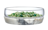 Desert Plants Champagne Bowl Cactus Petri Glass Bowl 70139900
