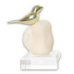 Medila- A - White- Gold