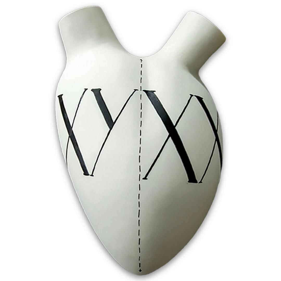 H-5 Xy/Xx Masculine And Feminine Cromosomically Together - White