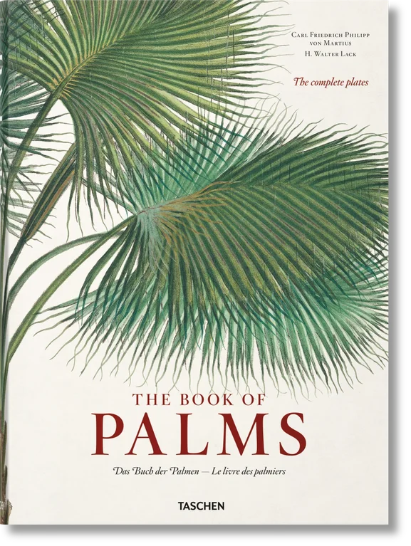 MARTIUS. THE BOOK OF PALMS