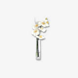 White Phalaenopsis Bud Vase